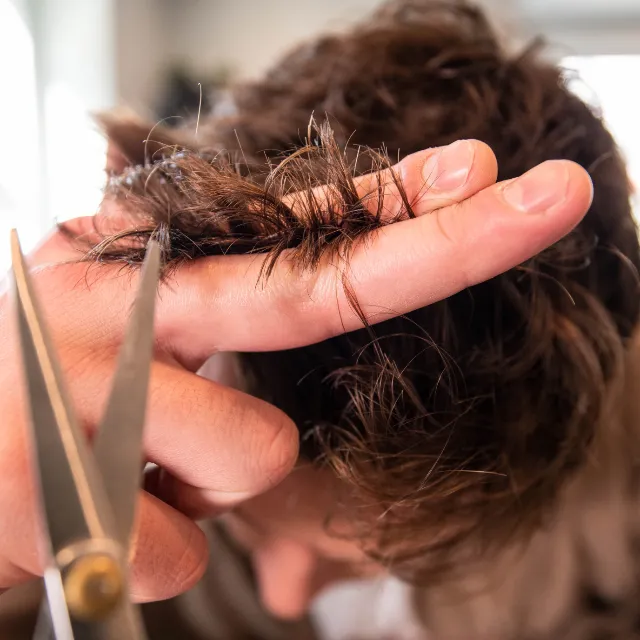 Corte