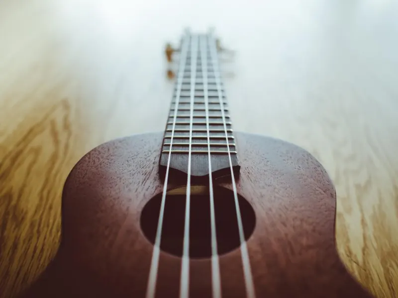 Ukulelê e musicalização
